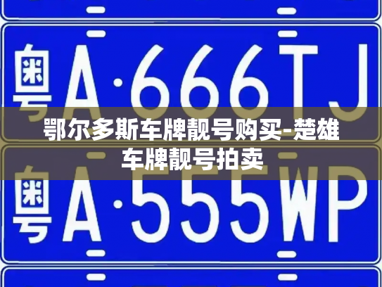 鄂尔多斯车牌靓号购买-楚雄车牌靓号拍卖-第4张图片-七号汽车选号 鄂尔多斯车牌靓号购买-楚雄车牌靓号拍卖-第4张图片-七号汽车选号
