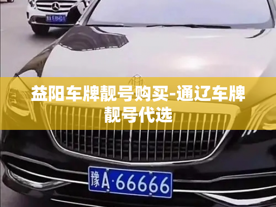 益阳车牌靓号购买-通辽车牌靓号代选-第4张图片-七号汽车选号