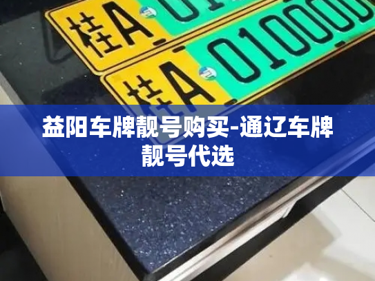 益阳车牌靓号购买-通辽车牌靓号代选-第2张图片-七号汽车选号