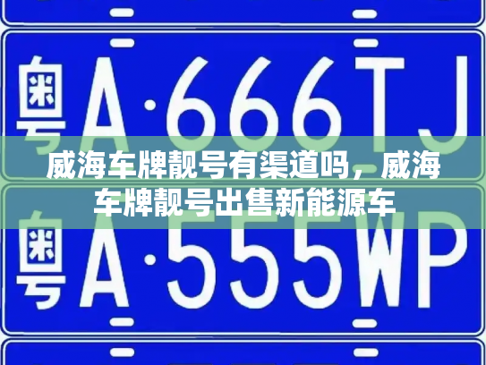威海车牌靓号有渠道吗,威海车牌靓号出售新能源车-第2张图片-七号汽车选号 威海车牌靓号有渠道吗,威海车牌靓号出售新能源车-第2张图片-七号汽车选号