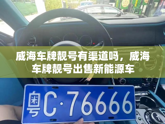 威海车牌靓号有渠道吗,威海车牌靓号出售新能源车-第3张图片-七号汽车选号 威海车牌靓号有渠道吗,威海车牌靓号出售新能源车-第3张图片-七号汽车选号