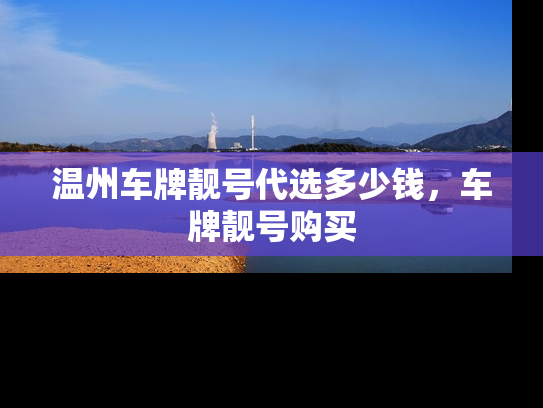 温州车牌靓号代选多少钱，车牌靓号购买