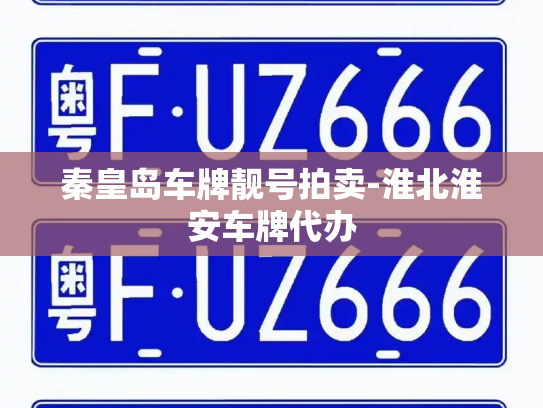 秦皇岛车牌靓号拍卖-淮北淮安车牌代办-第3张图片-七号汽车选号 秦皇岛车牌靓号拍卖-淮北淮安车牌代办-第3张图片-七号汽车选号