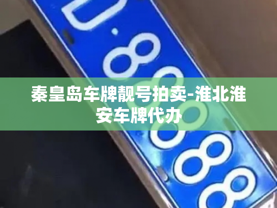 秦皇岛车牌靓号拍卖-淮北淮安车牌代办-第4张图片-七号汽车选号 秦皇岛车牌靓号拍卖-淮北淮安车牌代办-第4张图片-七号汽车选号