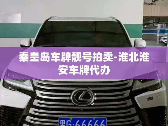 秦皇岛车牌靓号拍卖-淮北淮安车牌代办-第2张图片-七号汽车选号 秦皇岛车牌靓号拍卖-淮北淮安车牌代办-第2张图片-七号汽车选号