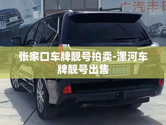 张家口车牌靓号拍卖-漯河车牌靓号出售-第3张图片-七号汽车选号 张家口车牌靓号拍卖-漯河车牌靓号出售-第3张图片-七号汽车选号