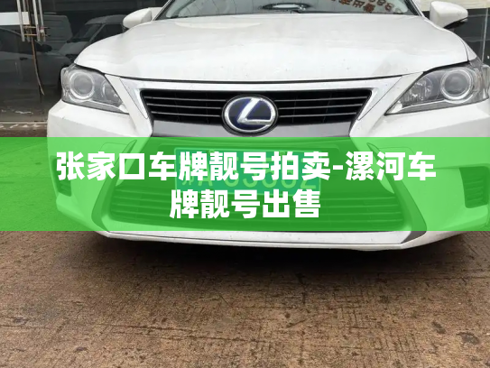 张家口车牌靓号拍卖-漯河车牌靓号出售-第2张图片-七号汽车选号 张家口车牌靓号拍卖-漯河车牌靓号出售-第2张图片-七号汽车选号