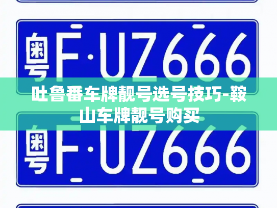 吐鲁番车牌靓号选号技巧-鞍山车牌靓号购买-第3张图片-七号汽车选号 吐鲁番车牌靓号选号技巧-鞍山车牌靓号购买-第3张图片-七号汽车选号