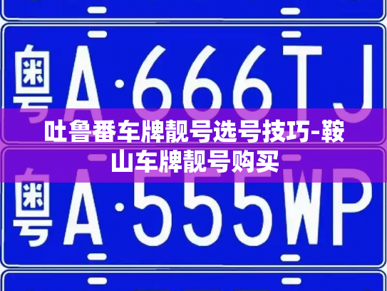 吐鲁番车牌靓号选号技巧-鞍山车牌靓号购买-第2张图片-七号汽车选号 吐鲁番车牌靓号选号技巧-鞍山车牌靓号购买-第2张图片-七号汽车选号