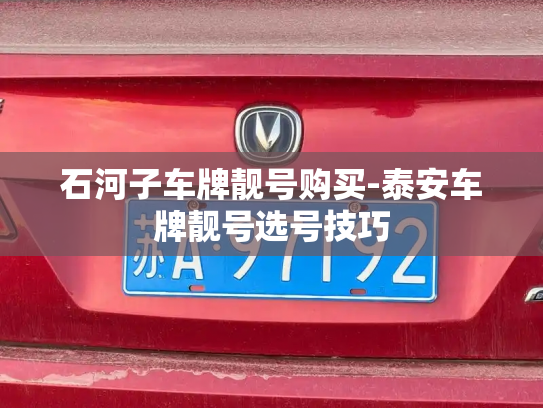 石河子车牌靓号购买-泰安车牌靓号选号技巧-第3张图片-七号汽车选号 石河子车牌靓号购买-泰安车牌靓号选号技巧-第3张图片-七号汽车选号