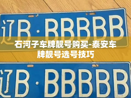 石河子车牌靓号购买-泰安车牌靓号选号技巧-第4张图片-七号汽车选号 石河子车牌靓号购买-泰安车牌靓号选号技巧-第4张图片-七号汽车选号