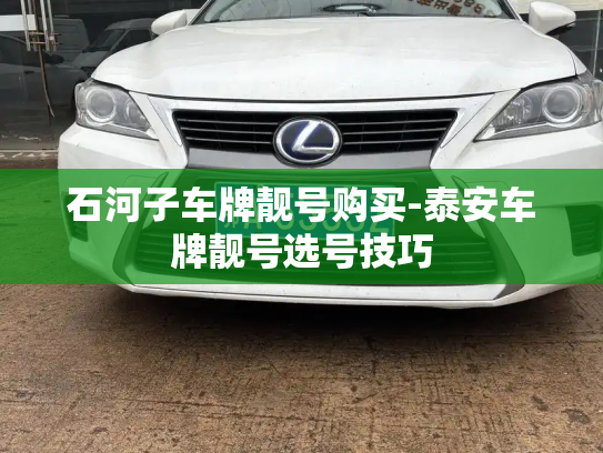 石河子车牌靓号购买-泰安车牌靓号选号技巧-第2张图片-七号汽车选号 石河子车牌靓号购买-泰安车牌靓号选号技巧-第2张图片-七号汽车选号