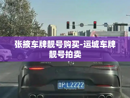 张掖车牌靓号购买-运城车牌靓号拍卖-第4张图片-七号汽车选号