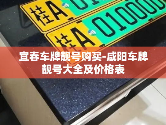 宜春车牌靓号购买-咸阳车牌靓号大全及价格表-第3张图片-七号汽车选号