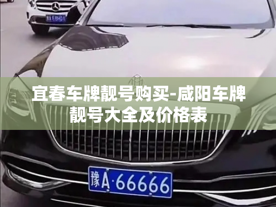 宜春车牌靓号购买-咸阳车牌靓号大全及价格表-第4张图片-七号汽车选号