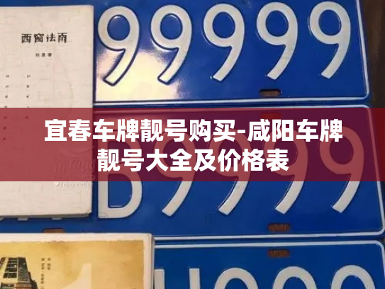 宜春车牌靓号购买-咸阳车牌靓号大全及价格表-第2张图片-七号汽车选号