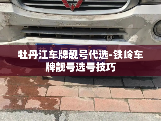 牡丹江车牌靓号代选-铁岭车牌靓号选号技巧-第3张图片-七号汽车选号 牡丹江车牌靓号代选-铁岭车牌靓号选号技巧-第3张图片-七号汽车选号