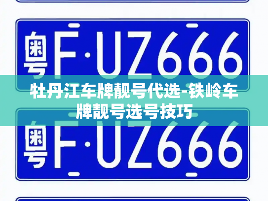 牡丹江车牌靓号代选-铁岭车牌靓号选号技巧-第4张图片-七号汽车选号 牡丹江车牌靓号代选-铁岭车牌靓号选号技巧-第4张图片-七号汽车选号