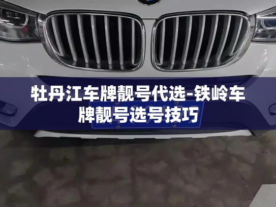 牡丹江车牌靓号代选-铁岭车牌靓号选号技巧-第2张图片-七号汽车选号 牡丹江车牌靓号代选-铁岭车牌靓号选号技巧-第2张图片-七号汽车选号