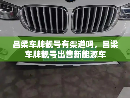 吕梁车牌靓号有渠道吗,吕梁车牌靓号出售新能源车-第3张图片-七号汽车选号 吕梁车牌靓号有渠道吗,吕梁车牌靓号出售新能源车-第3张图片-七号汽车选号