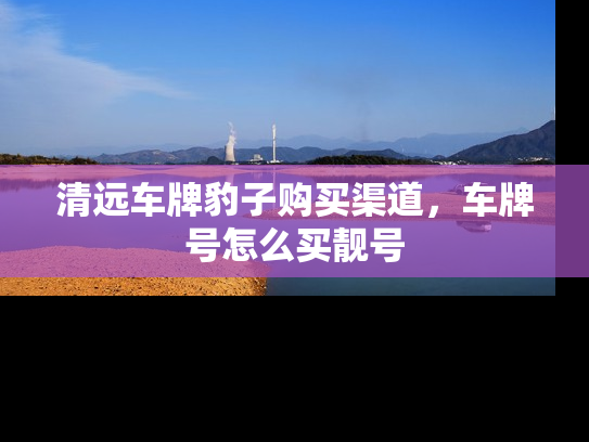 清远车牌豹子购买渠道，车牌号怎么买靓号