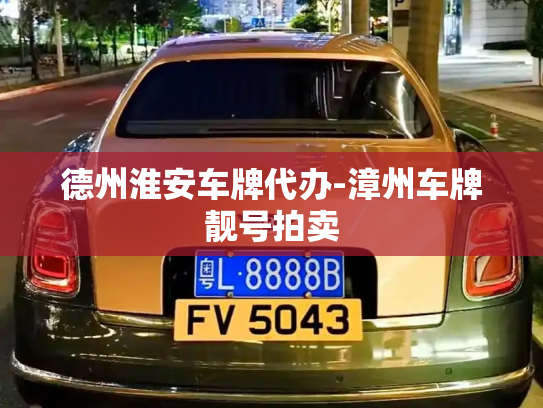 德州淮安车牌代办-漳州车牌靓号拍卖-第2张图片-七号汽车选号