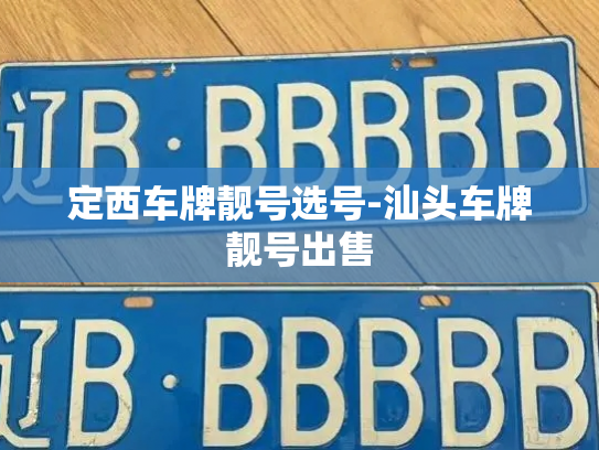 定西车牌靓号选号-汕头车牌靓号出售-第4张图片-七号汽车选号 定西车牌靓号选号-汕头车牌靓号出售-第4张图片-七号汽车选号