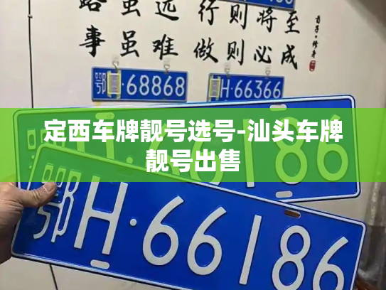 定西车牌靓号选号-汕头车牌靓号出售-第2张图片-七号汽车选号 定西车牌靓号选号-汕头车牌靓号出售-第2张图片-七号汽车选号