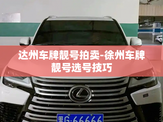 达州车牌靓号拍卖-徐州车牌靓号选号技巧-第4张图片-七号汽车选号 达州车牌靓号拍卖-徐州车牌靓号选号技巧-第4张图片-七号汽车选号