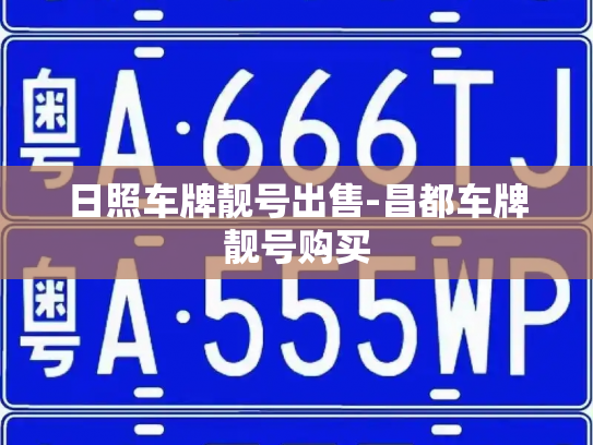 日照车牌靓号出售-昌都车牌靓号购买-第3张图片-七号汽车选号 日照车牌靓号出售-昌都车牌靓号购买-第3张图片-七号汽车选号