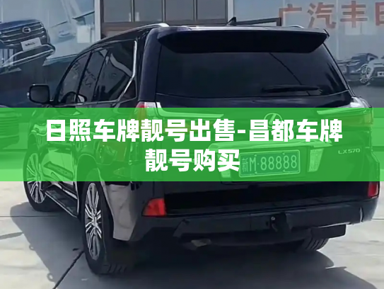 日照车牌靓号出售-昌都车牌靓号购买-第4张图片-七号汽车选号 日照车牌靓号出售-昌都车牌靓号购买-第4张图片-七号汽车选号