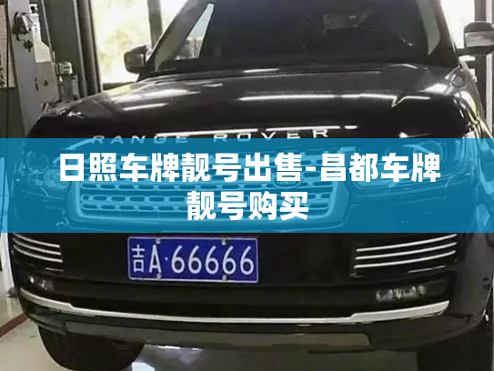 日照车牌靓号出售-昌都车牌靓号购买-第2张图片-七号汽车选号 日照车牌靓号出售-昌都车牌靓号购买-第2张图片-七号汽车选号