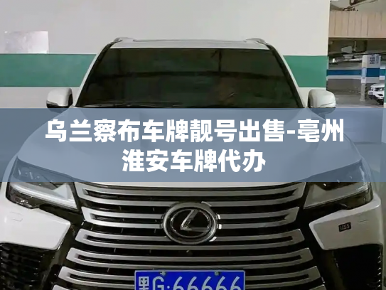 乌兰察布车牌靓号出售-亳州淮安车牌代办-第3张图片-七号汽车选号 乌兰察布车牌靓号出售-亳州淮安车牌代办-第3张图片-七号汽车选号