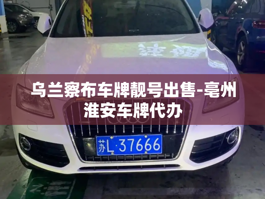 乌兰察布车牌靓号出售-亳州淮安车牌代办-第2张图片-七号汽车选号 乌兰察布车牌靓号出售-亳州淮安车牌代办-第2张图片-七号汽车选号