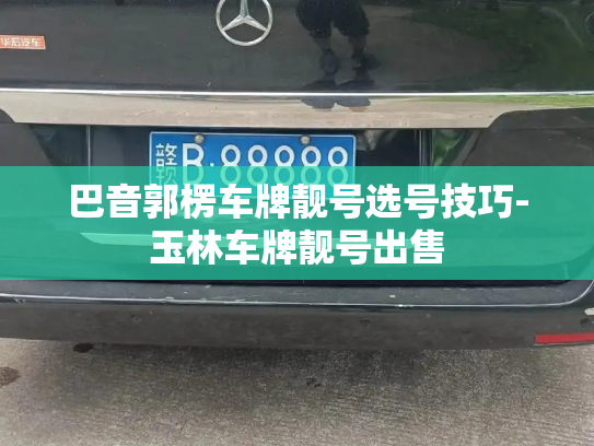 巴音郭楞车牌靓号选号技巧-玉林车牌靓号出售-第3张图片-七号汽车选号