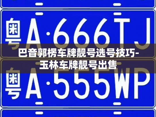 巴音郭楞车牌靓号选号技巧-玉林车牌靓号出售-第4张图片-七号汽车选号
