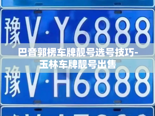 巴音郭楞车牌靓号选号技巧-玉林车牌靓号出售-第2张图片-七号汽车选号