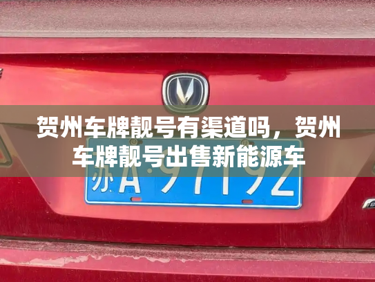 贺州车牌靓号有渠道吗,贺州车牌靓号出售新能源车-第2张图片-七号汽车选号 贺州车牌靓号有渠道吗,贺州车牌靓号出售新能源车-第2张图片-七号汽车选号