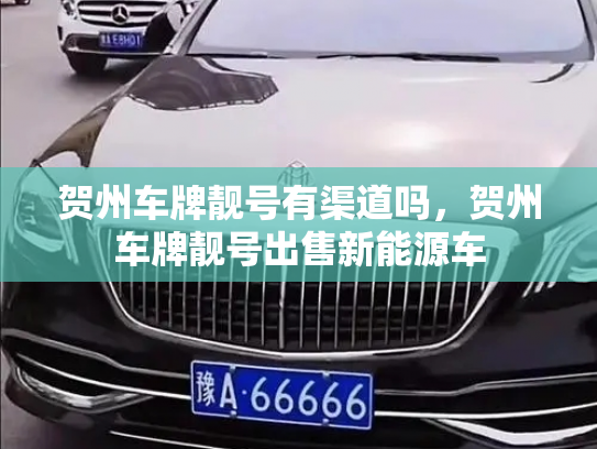 贺州车牌靓号有渠道吗,贺州车牌靓号出售新能源车-第3张图片-七号汽车选号 贺州车牌靓号有渠道吗,贺州车牌靓号出售新能源车-第3张图片-七号汽车选号
