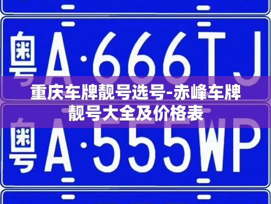 重庆车牌靓号选号-赤峰车牌靓号大全及价格表-第4张图片-七号汽车选号 重庆车牌靓号选号-赤峰车牌靓号大全及价格表-第4张图片-七号汽车选号