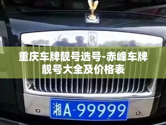 重庆车牌靓号选号-赤峰车牌靓号大全及价格表-第2张图片-七号汽车选号 重庆车牌靓号选号-赤峰车牌靓号大全及价格表-第2张图片-七号汽车选号