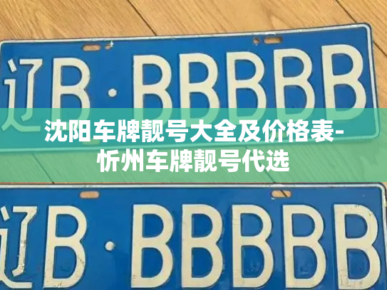 沈阳车牌靓号大全及价格表-忻州车牌靓号代选-第3张图片-七号汽车选号 沈阳车牌靓号大全及价格表-忻州车牌靓号代选-第3张图片-七号汽车选号