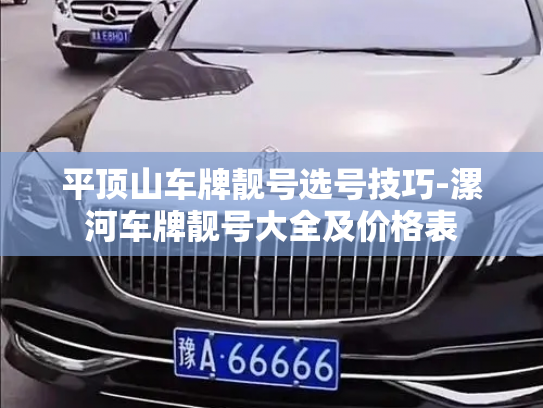 平顶山车牌靓号选号技巧-漯河车牌靓号大全及价格表-第3张图片-七号汽车选号 平顶山车牌靓号选号技巧-漯河车牌靓号大全及价格表-第3张图片-七号汽车选号
