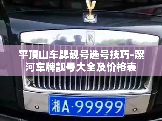 平顶山车牌靓号选号技巧-漯河车牌靓号大全及价格表-第2张图片-七号汽车选号 平顶山车牌靓号选号技巧-漯河车牌靓号大全及价格表-第2张图片-七号汽车选号