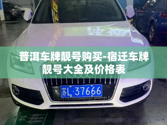 普洱车牌靓号购买-宿迁车牌靓号大全及价格表-第2张图片-七号汽车选号 普洱车牌靓号购买-宿迁车牌靓号大全及价格表-第2张图片-七号汽车选号