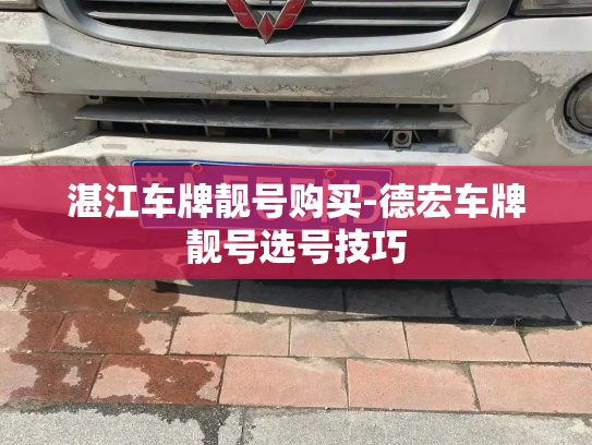 湛江车牌靓号购买-德宏车牌靓号选号技巧-第3张图片-七号汽车选号