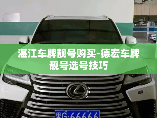 湛江车牌靓号购买-德宏车牌靓号选号技巧-第4张图片-七号汽车选号