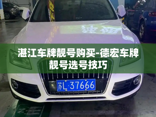 湛江车牌靓号购买-德宏车牌靓号选号技巧-第2张图片-七号汽车选号