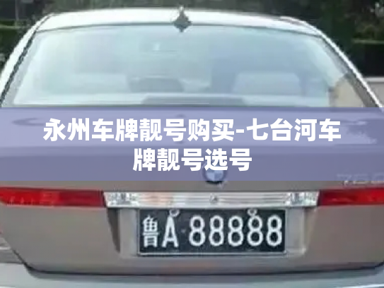 永州车牌靓号购买-七台河车牌靓号选号-第4张图片-七号汽车选号 永州车牌靓号购买-七台河车牌靓号选号-第4张图片-七号汽车选号