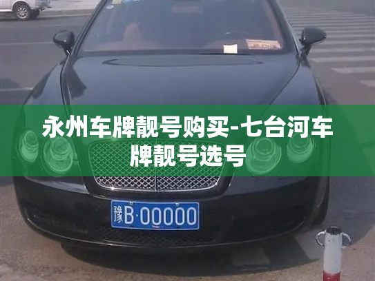 永州车牌靓号购买-七台河车牌靓号选号-第2张图片-七号汽车选号 永州车牌靓号购买-七台河车牌靓号选号-第2张图片-七号汽车选号